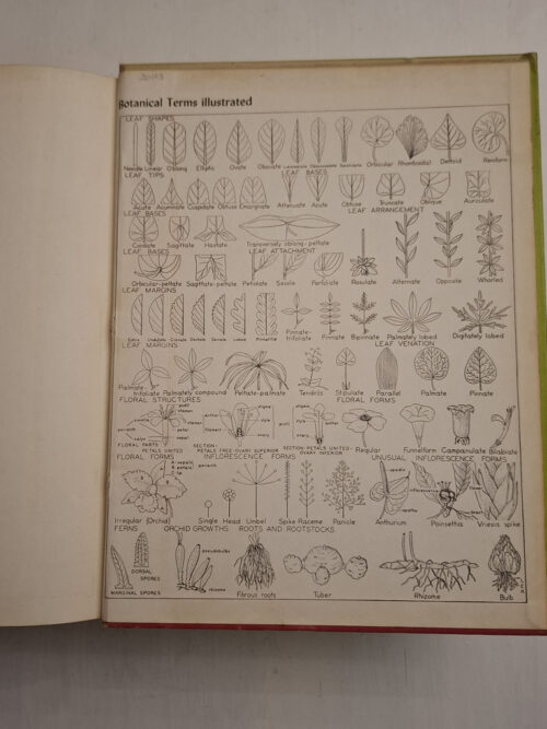 Exotica, Series 3: Pictorial Cyclopedia Of Exotic Plants – Alfred Byrd Graf secondhand book