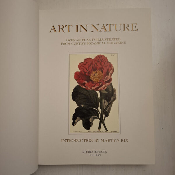 Art In Nature - Martyn Rix