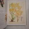 Art In Nature - Martyn Rix