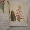 Art In Nature - Martyn Rix