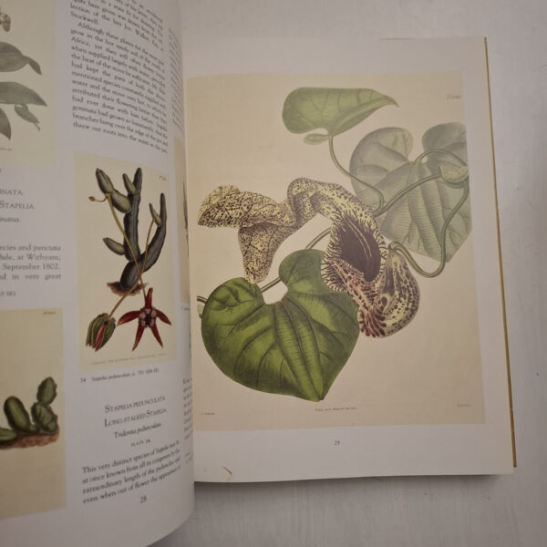 Art In Nature - Martyn Rix