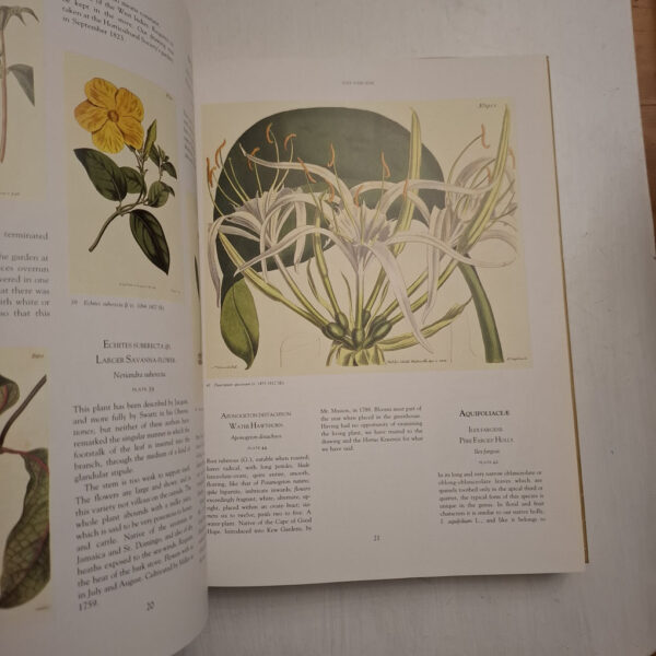 Art In Nature - Martyn Rix