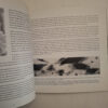 Lost Light: Fugitive Images From Deep Space – Karel Nel secondhand book