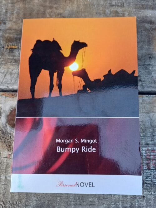 Bumpy Ride - Morgan S Mingot