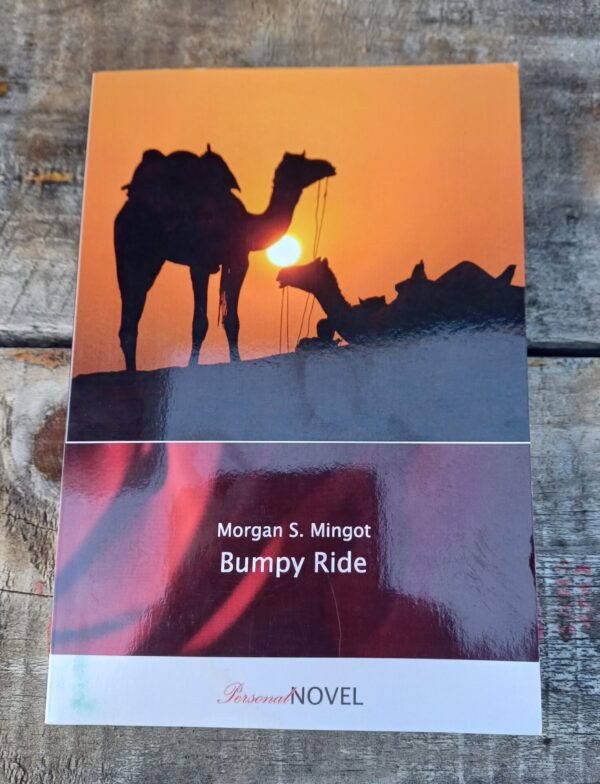 Bumpy Ride – Morgan S Mingot secondhand book