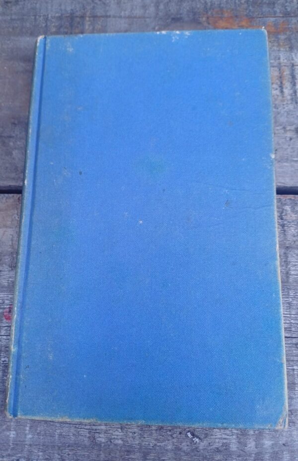 Geskenk Van Die Gode – Nickey Van Schalkwyk secondhand book