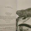The Voyage Of The Beagle - Charles Darwin