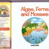 Algae, Ferns And Mosses - DeAgostini