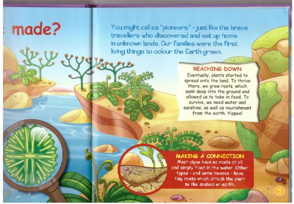 Algae, Ferns And Mosses - DeAgostini