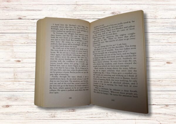Small Great Things – Jodi Picoult secondhand book