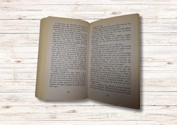 Vanish – Tess Gerritsen secondhand book