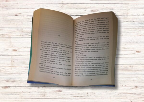 Blind Faith – Ben Elton secondhand book
