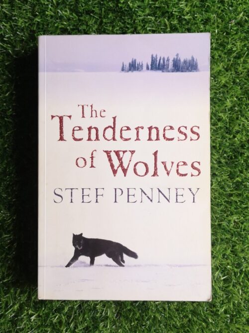 The Tenderness Of Wolves - Stef Penney