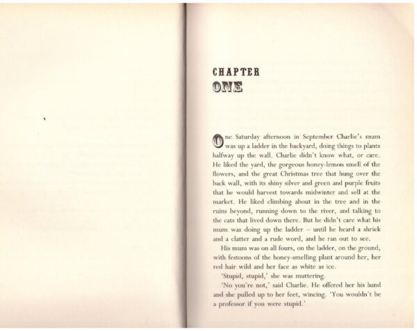 Lion boy6 Lion Boy: Big Secrets, Big Cats, Big Adventure — Zizou Corder secondhand book