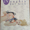 Naughty But Nice - Various Authors