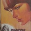 Dwaalpad Van Die Hart – Sophia Burger secondhand book