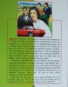 Uitdraaipad Na Geluk – Trudie Coetzer secondhand book