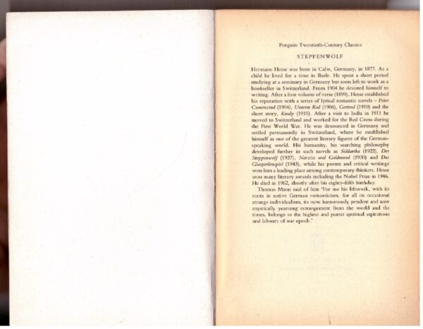 Steppenwolf - Hermann Hesse