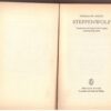 Steppenwolf - Hermann Hesse