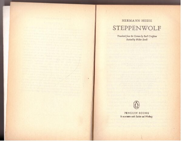 Steppenwolf - Hermann Hesse