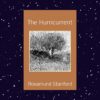 The Hurricurrent - Rosamund Stanford