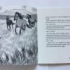 Three Ducks Came To Candlewood & Other Stories - John Stanford