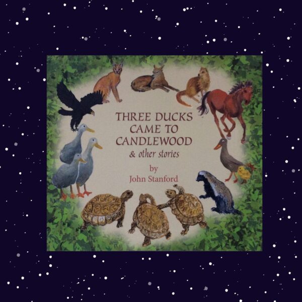 Three Ducks Came To Candlewood & Other Stories - John Stanford
