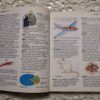 Cambridge Illustrated Dictionary For Young Scientists - Jeanne Stone