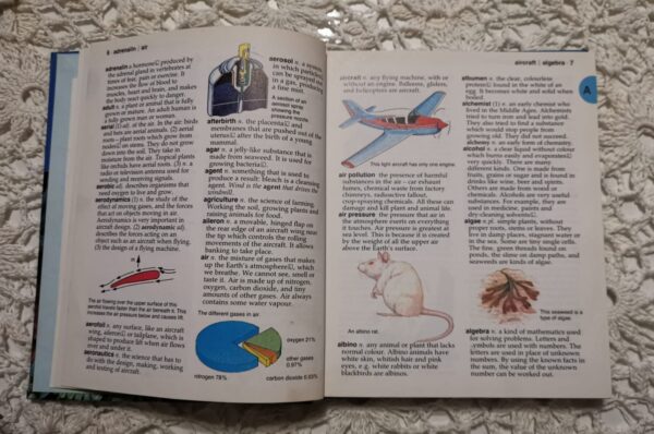 Cambridge Illustrated Dictionary For Young Scientists - Jeanne Stone