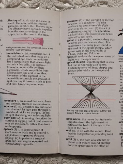 Cambridge Illustrated Dictionary For Young Scientists – Jeanne Stone secondhand book