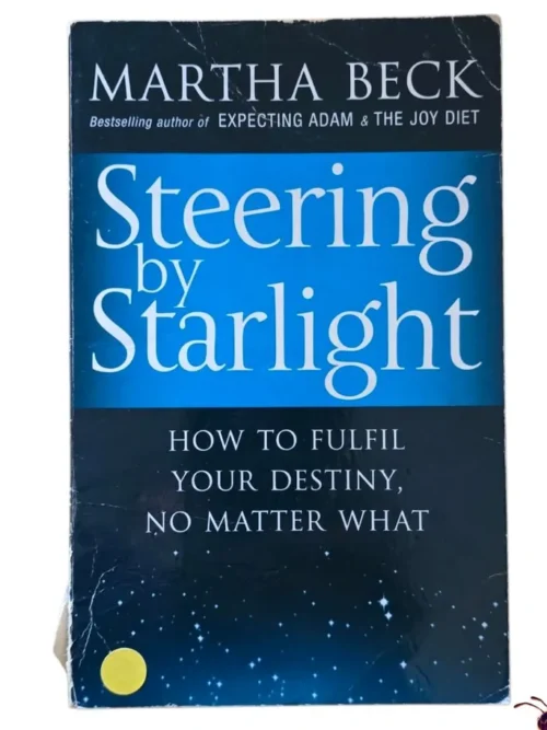 Steering By Starlight - Martha Beck
