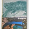 The Voyage Of The Beagle - Charles Darwin