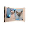 Best Loved Cats Of The World - Peter McHoy
