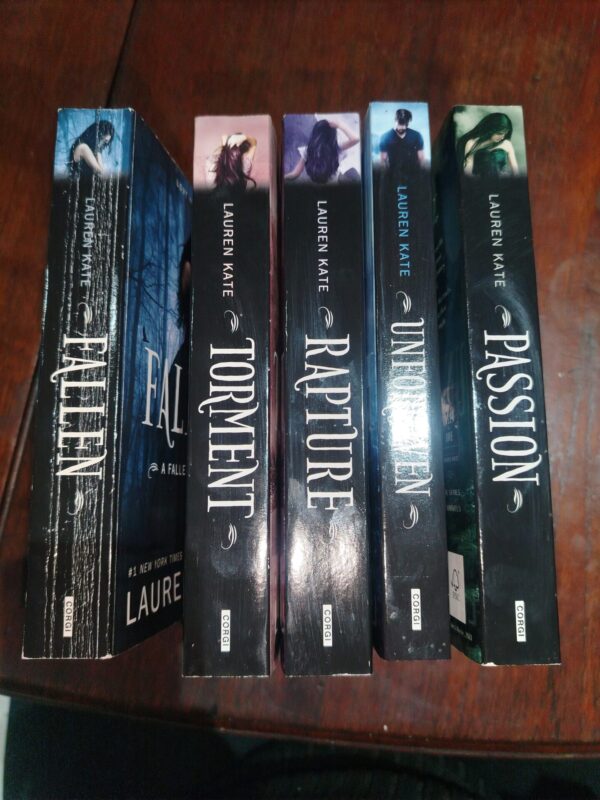 Fallen Series – Lauren Kate secondhand book