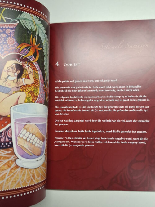 Afrikamasutra – Ilse Carla Groenewald secondhand book
