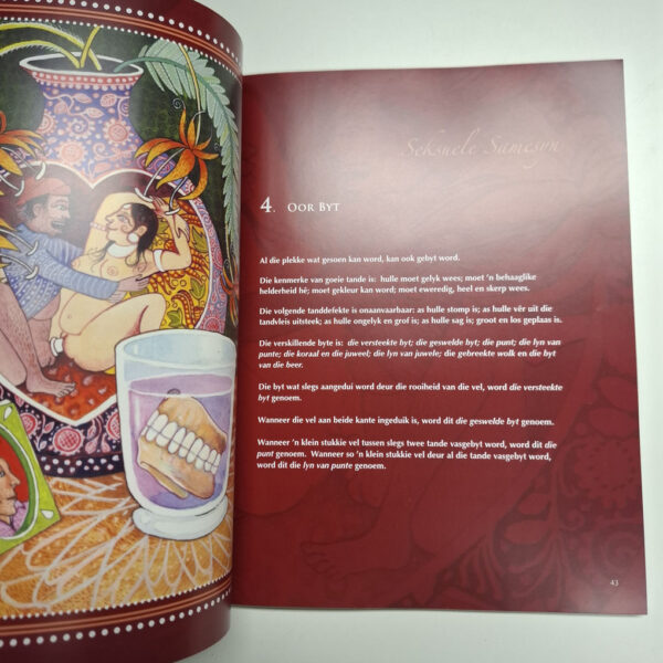 Afrikamasutra – Ilse Carla Groenewald secondhand book
