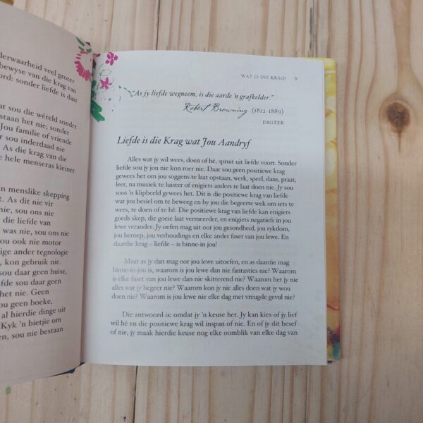 Die Krag (The Secret) - Rhonda Byrne