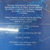 Cassell's Atlas Of World History - John Haywood