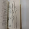 Flora Of Melville Koppies Nature Reserve (2 Volumes) secondhand book