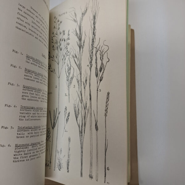 Flora Of Melville Koppies Nature Reserve (2 Volumes) secondhand book