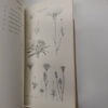 Flora Of Melville Koppies Nature Reserve (2 Volumes) secondhand book