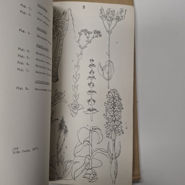 Flora Of Melville Koppies Nature Reserve (2 Volumes) secondhand book