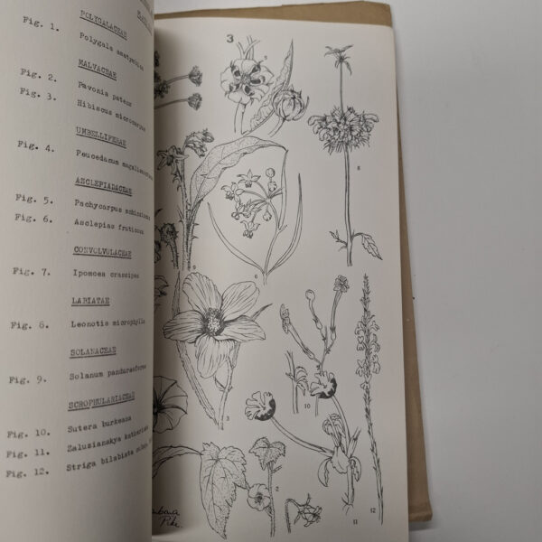 Flora Of Melville Koppies Nature Reserve (2 Volumes) secondhand book