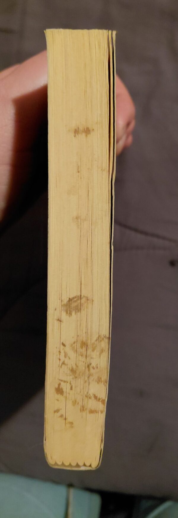 Die Staat Teen Anna Bruwer – Anchien Troskie As Elbie Lötter secondhand book