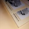 A Celebration Of Birds – C.G. Finch-Davies secondhand book