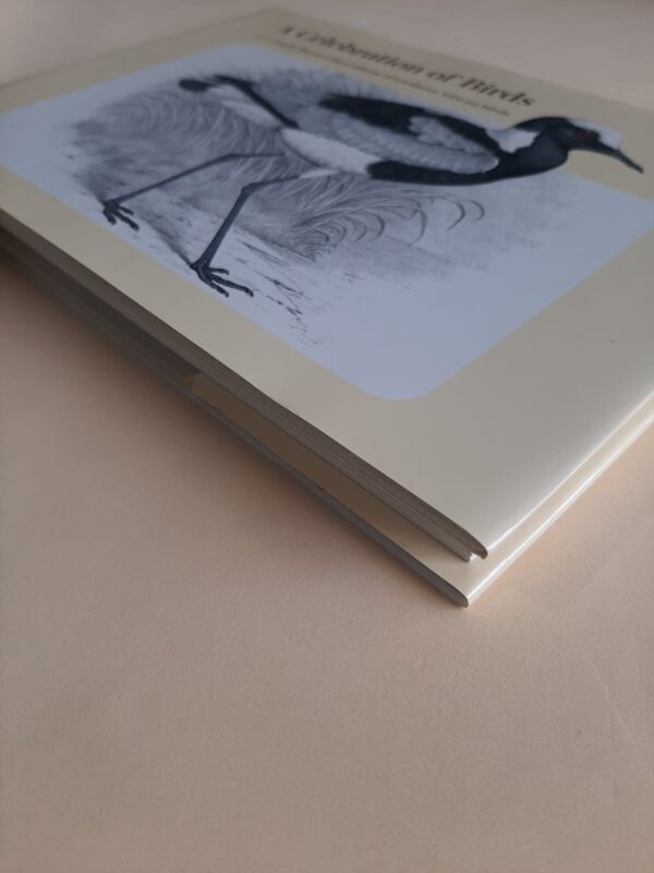 A Celebration Of Birds – C.G. Finch-Davies secondhand book
