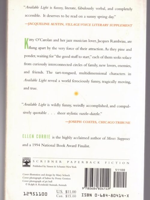 Available Light — Ellen Currie secondhand book