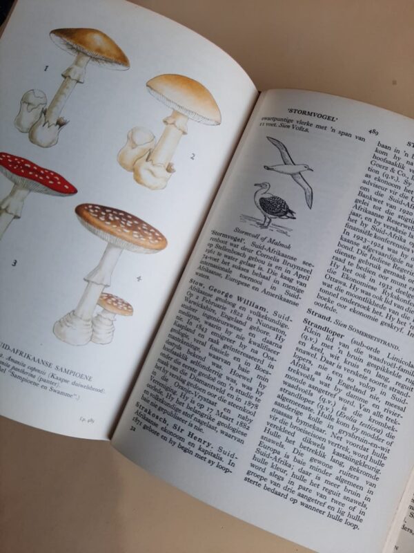 Ensiklopedie Van Suidelike Afrika – Eric Rosenthal secondhand book
