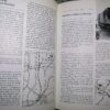 A Guide To The Steam Railways Of Great Britain – Rev W. Awdry, Chris Cook secondhand book