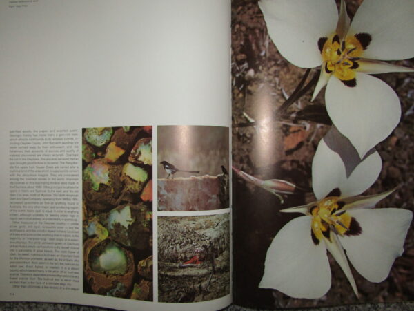 Idaho: A Pictorial Overview – Robert O. Beatty secondhand book